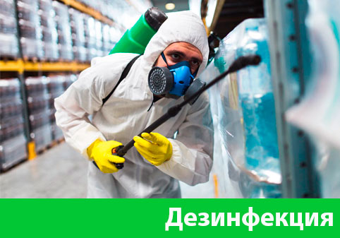 Дезинфекция в городе Великий Новгород
