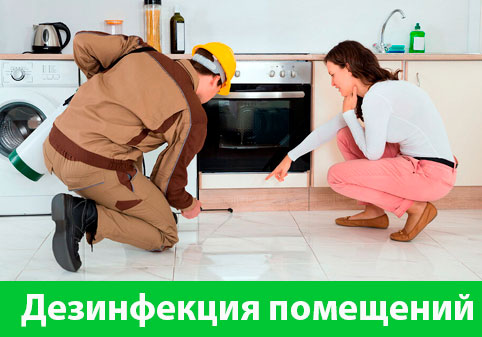 Дезинфекция офисов от коронавируса в городе Великий Новгород