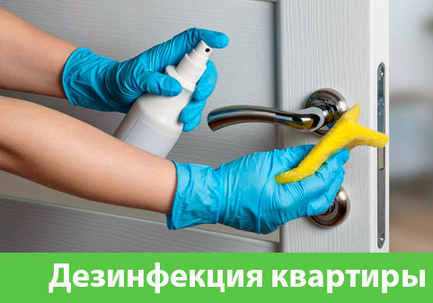 Дезинфекция квартиры в городе Великий Новгород