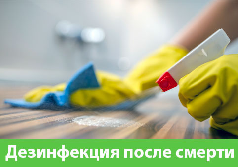 Дезинфекция после смерти в городе Великий Новгород