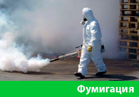 Фумигация в городе Великий Новгород