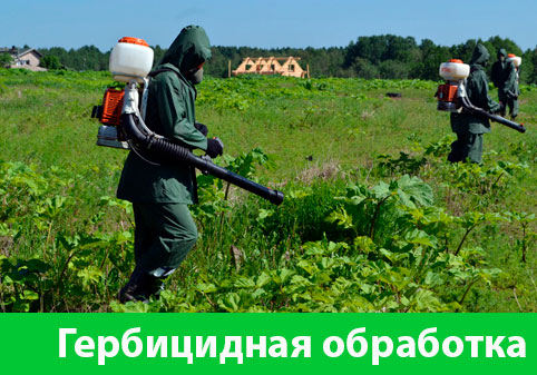 Гербицидная обработка в городе Великий Новгород