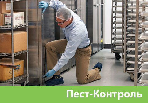 Пэст-Контроль в городе Великий Новгород