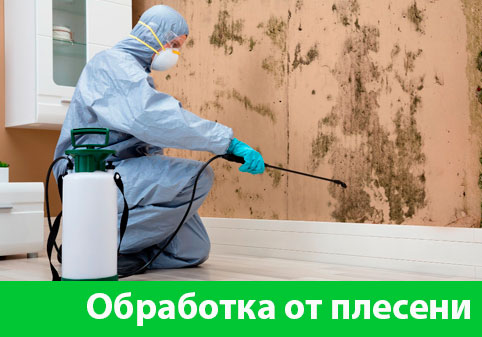 Обработка от плесени в городе Великий Новгород