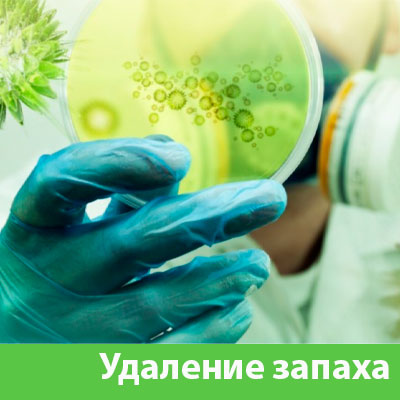 Удаление запахов в Великом Новгороде