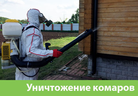 Уничтожение комаров в городе Великий Новгород