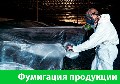 Фумигация продукции в городе Великий Новгород